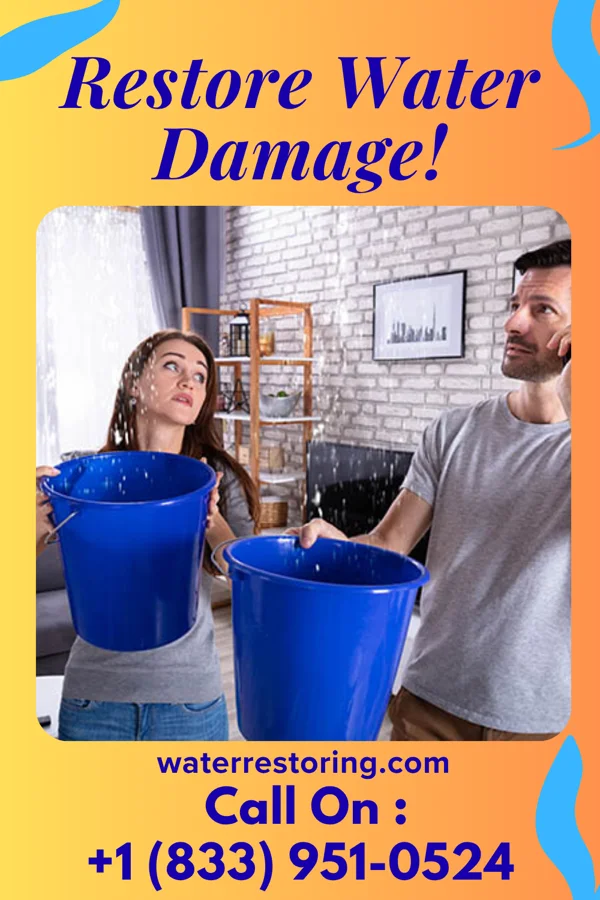 water restoration Patriot Drying LLC Savannah