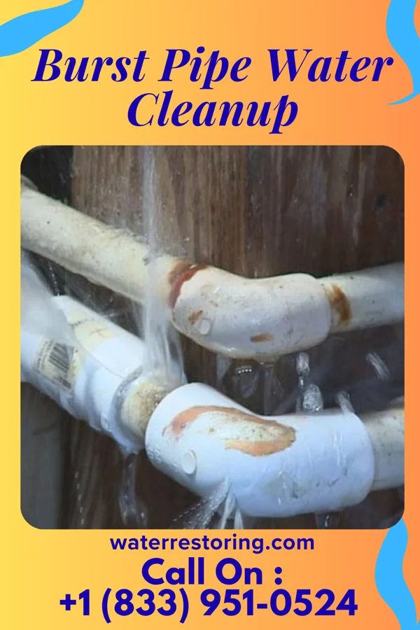 Burst Pipe Water Cleanup in Savannah, OH