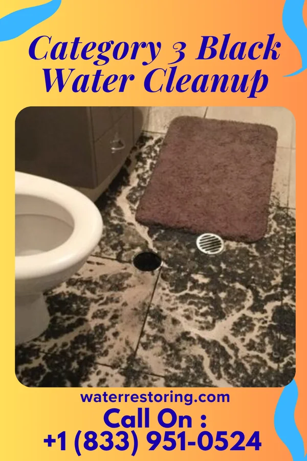 Category 3 Black Water Cleanup in Savannah, OH