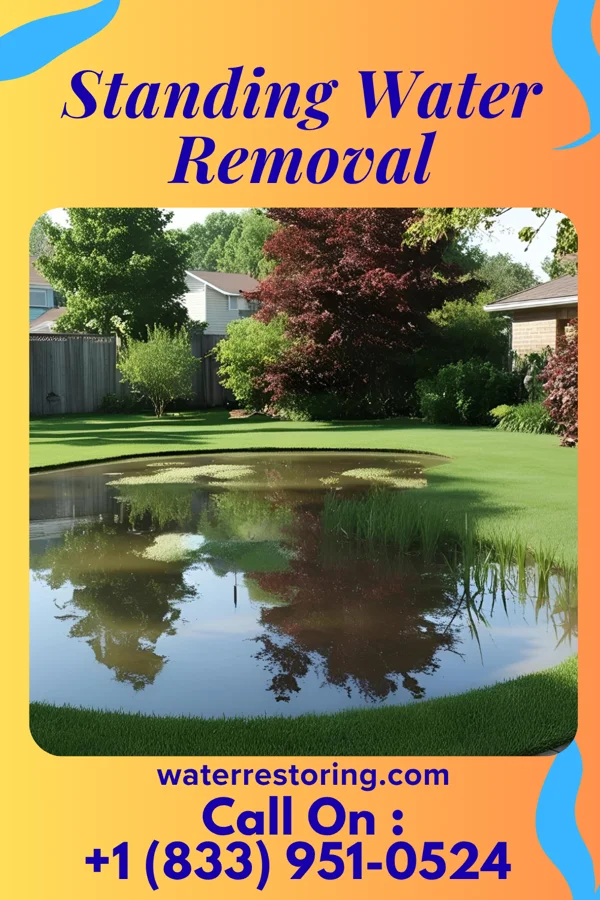 Standing Water Removal in Savannah, OH